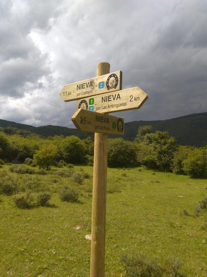 La Casa Nueva Konuk evi Nieva de Cameros Dış mekan fotoğraf